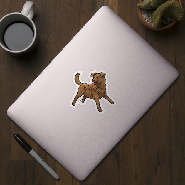 Dog - Chesapeake Bay Retriever - Sedge by Jen's Dogs Custom Gifts and Designs